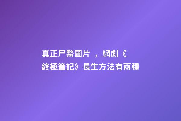 真正尸鱉圖片，網劇《終極筆記》長生方法有兩種